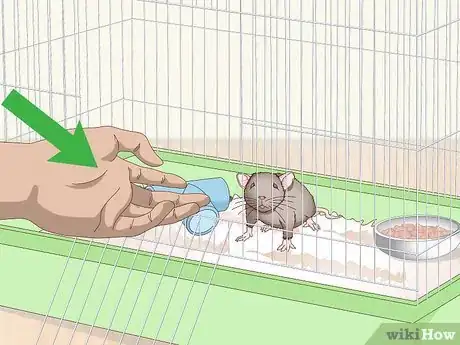 Image titled Pick Up a Pet Mouse Step 10