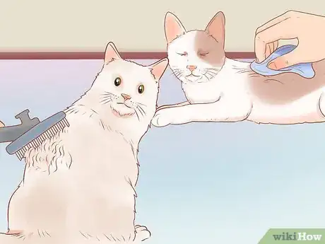 Image titled Know if Your Cat Is Sick Step 13