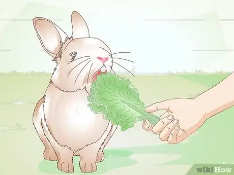 Image titled Feed Greens to Your Rabbit Step 11