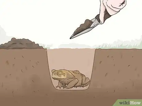 Image titled Kill Toads Step 5