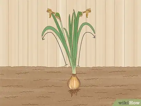 Image titled Store Bulbs Step 1