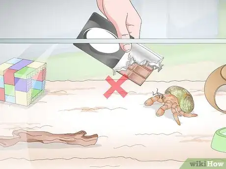 Image titled Care for Land Hermit Crabs Step 13