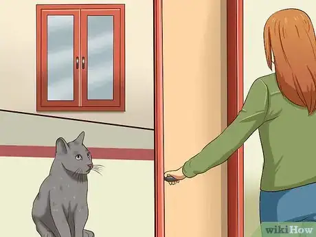 Image titled Catch a Cat Step 6