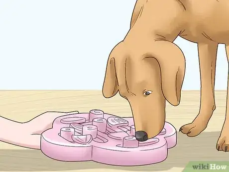 Image titled Get Rid of Your Dog Step 9
