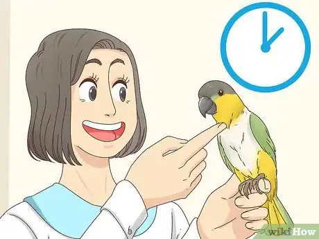 Image titled Choose a Caique Parrot Step 5