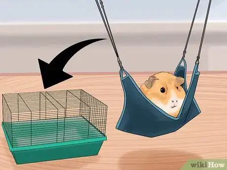 Image titled Accessorize a Hamster's Cage Step 2