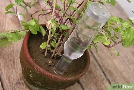 Image titled Create an Automatic Plant Watering Device Step 5