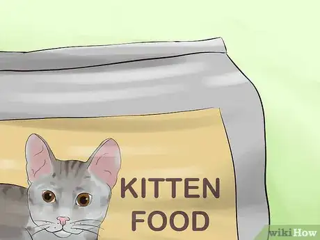 Image titled Adopt a Kitten Step 6