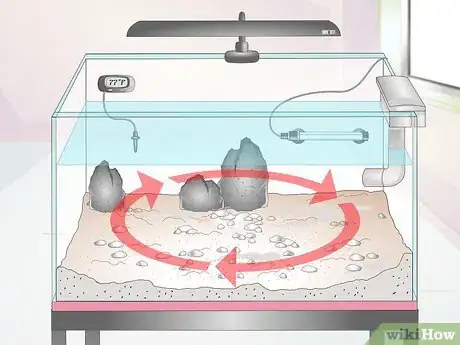 Image titled Set Up a Fish Tank for Plecostomus Catfish Step 10