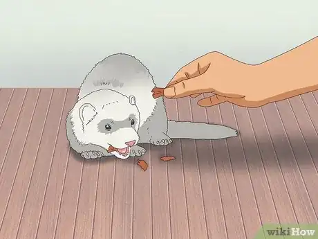 Image titled Litter Train Your Ferret Step 5