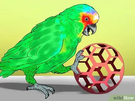 Image titled Know if an Amazon Parrot Is Right for You Step 17