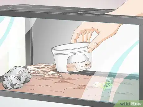 Image titled Bathe a Leopard Gecko Step 7