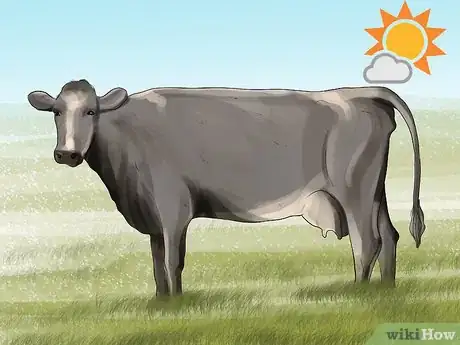 Image titled Clean a Cow Step 2