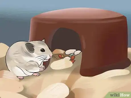Image titled Have Fun With Your Hamster Step 15