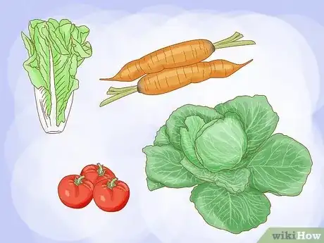 Image titled Create a Vegetable Garden Step 1