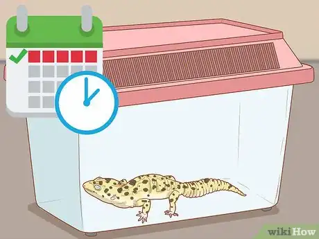 Image titled Safely and Properly Pack, Transport and Move Your Reptile Step 4