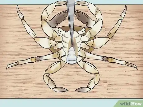 Image titled Cook a Crab Step 3