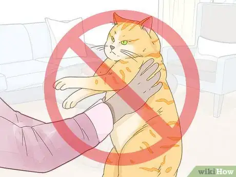 Image titled Get Your Cat to Purr Step 9