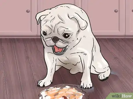 Image titled Help a Dog Who Has Canine Epilepsy Step 13