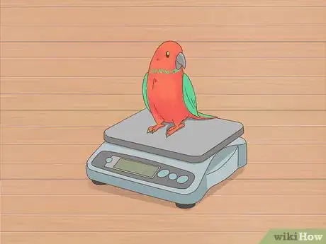 Image titled Know if Your Bird Is Sick Step 1
