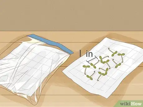 Image titled Grow Plants Using Hydroponics Step 7