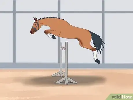 Image titled Choose the Right Breed of Horse for You Step 15