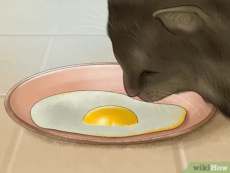 Image titled Feed Your Cat Natural Foods Step 8