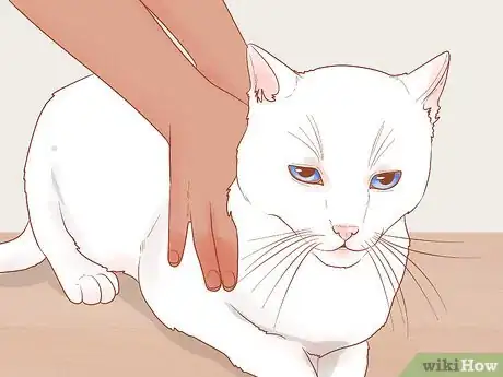 Image titled Handle a Cat That Suddenly Attacks You Step 2