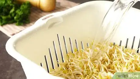 Image titled Freeze Bean Sprouts Step 1