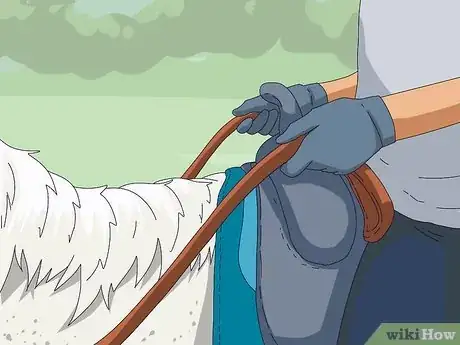 Image titled Make a Horse Move Forward Step 1