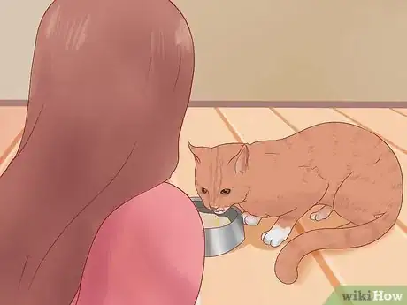 Image titled Get Your Cat to Come Inside Step 2