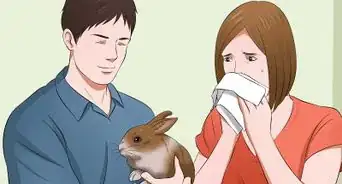 Buy a Rabbit