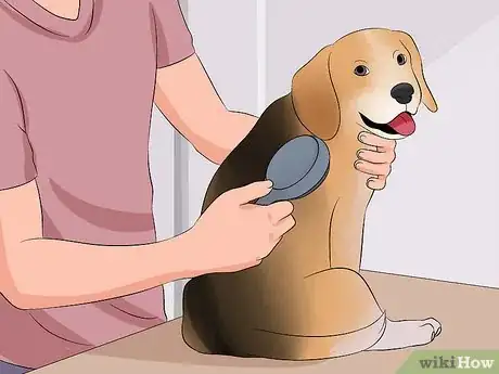 Image titled Become a Dog Groomer Step 2