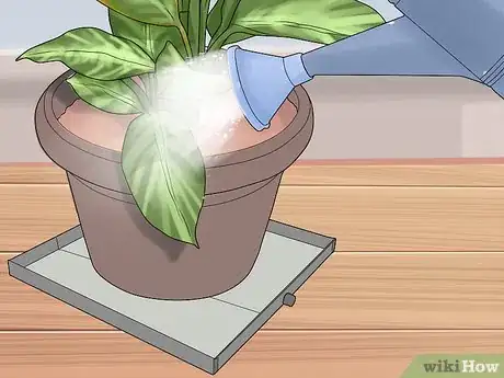 Image titled Remove Brown Tips From the Leaves of Houseplants Step 8