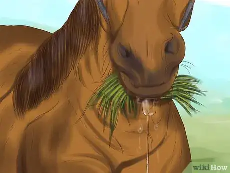Image titled Tell If a Horse Needs Teeth Floated Step 2