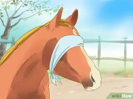 Image titled Put Down a Horse Step 11