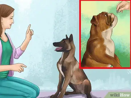 Image titled Bring up a Gentle and Pleasant Dog Step 4