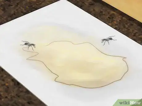 Image titled Stop Ants From Coming Into Your Home Step 18