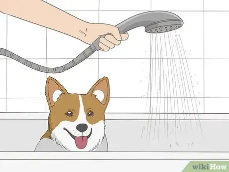 Image titled Give a Small Dog a Bath Step 9