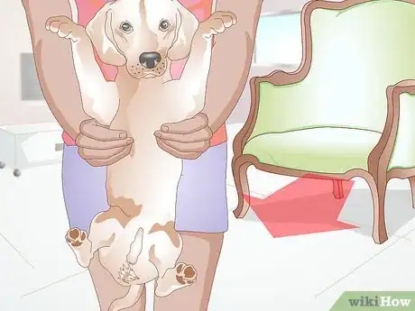 Image titled Stop a Dog from Licking Everything Step 4