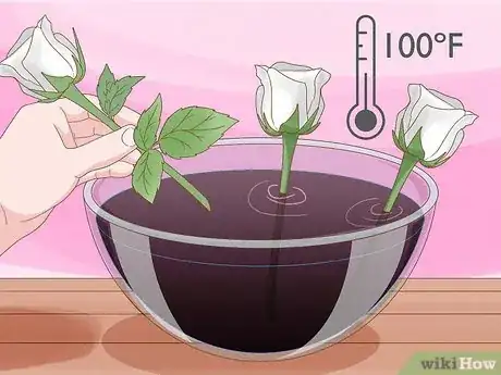 Image titled Grow Black Roses Step 17