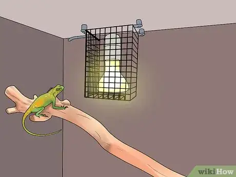 Image titled Build a Reptile Cage Step 9
