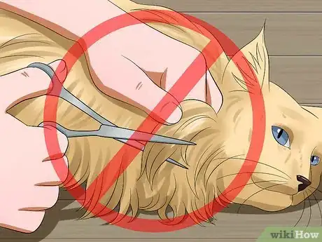 Image titled Prevent Matted Cat Hair Step 12