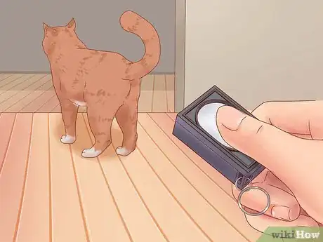 Image titled Get Your Cat to Come Inside Step 8