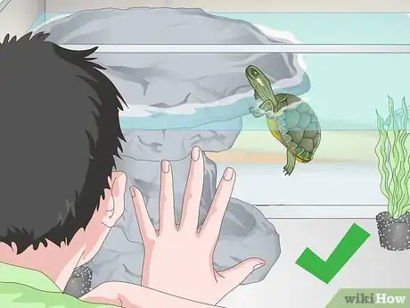 Image titled Care for a Turtle Step 14