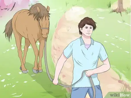 Image titled Train a Horse to Lead Step 9