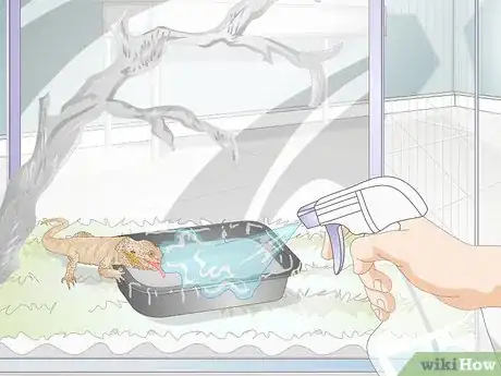 Image titled Teach a Bearded Dragon to Drink from a Water Bowl Step 8