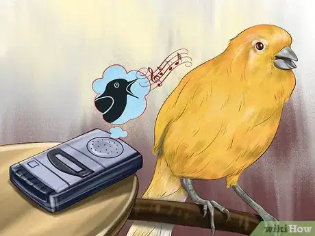 Image titled Get a Canary to Sing Step 2