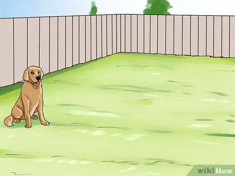 Image titled Keep Your Dog from Chasing Cats Step 17