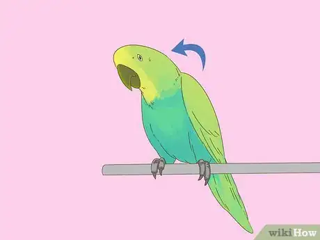 Image titled Know if Your Bird Is Sick Step 6